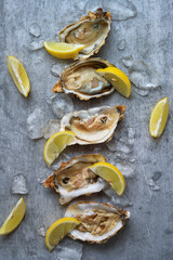 open oysters and lemons on the table