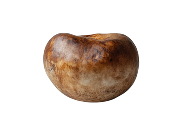 Isolated brown buckeye nut