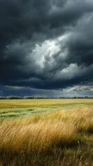 Storm clouds loom over prairie as golden light pierces through, nature's dramatic contrast unfolds