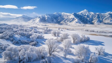 Snow-covered trees and mountain range under a bright blue sky in winter. Use this image to evoke feelings of cold,peace, or the winter season.