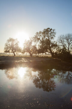 Double sunrise reflected in a farm dam
