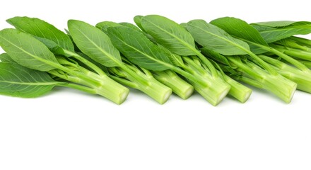 Fototapeta premium Fresh chinese broccoli, a vibrant collection of healthy green vegetables