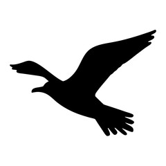 Silhouette of a bird in flight against a white background soaring high