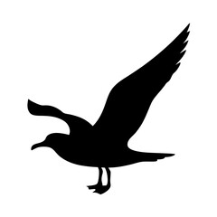 Majestic silhouette of a seagull in flight against a white backdrop