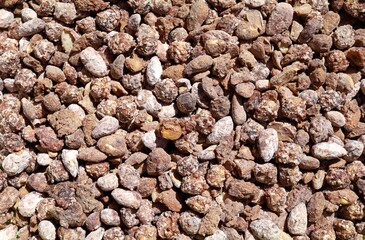 Mix of homemade candied almond and hazelnut. Full frame. Background and texture.