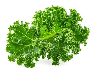 Obraz premium Fresh Green Kale Leaf Isolated on White Background