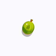 Gooseberry fruit icon logo flat vector design