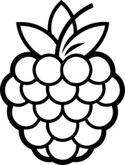 Marionberry icon line art  vector on transparent background