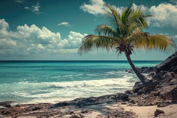 Tropical beach scene with palm tree.  Ocean waves lap at the shore