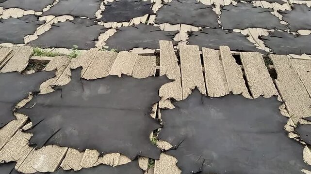 Cow animal black color hides skins drying tanning process of leather in natural way