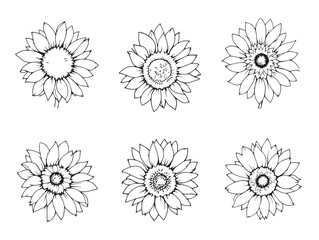 Hand-drawn Sunflower Bloom Line Art for Creative Projects