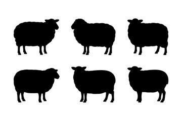 Sheep silhouette vector art farm animal graphics
