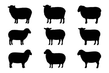 Sheep silhouette vector farm animal illustration art
