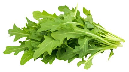 A handful of arugula leaves with their distinct peppery shape, isolated on white background