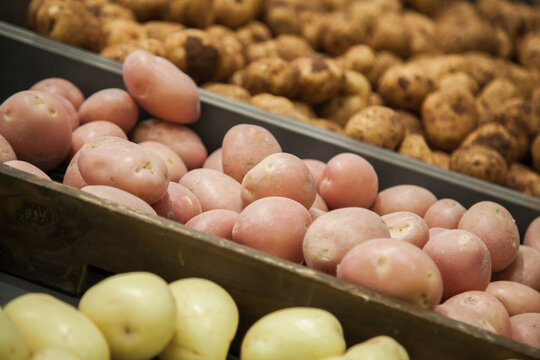 Potatoes in boxes at shops - Powered by Adobe