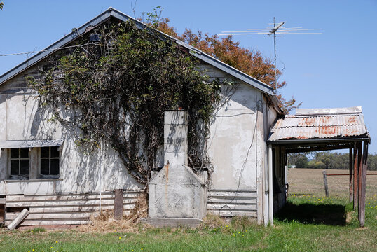 An old farm house covered in creepers