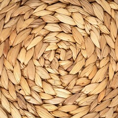A close-up view of golden wheat stalks, showcasing their delicate grains and vibrant green leaves, glistening under the warm sunlight.