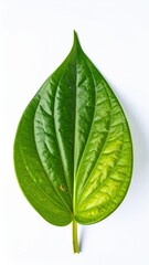Obraz premium A vibrant green leaf with intricate veins rests elegantly on a pristine white background, highlighting its natural texture and vivid color contrast.