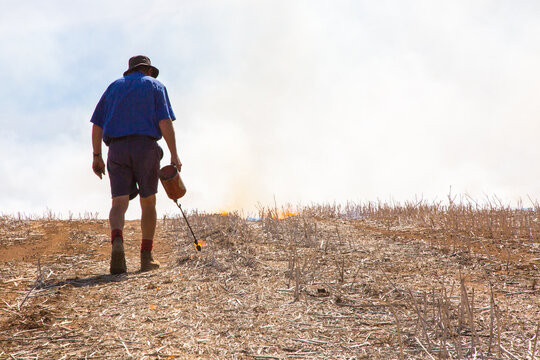 Farmer carrying a fire lighter burning canola stubble