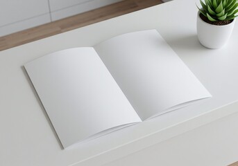 Blank brochure mockup on white desk next to succulent plant for design presentation view