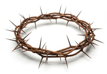 Fototapeta premium Crown of thorns made of branches and spikes on white background