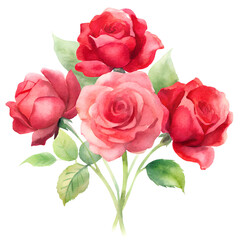 Fototapeta premium Vintage Red Roses Bouquet Clipart on White Background