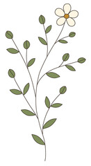 Delicate Wildflower Line Illustration