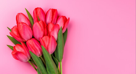 Pink tulip bouquet on a soft pink background