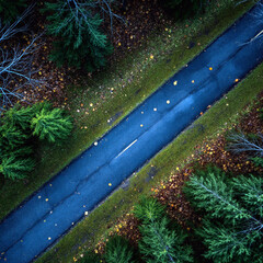 Aerial view of road through autumn forest