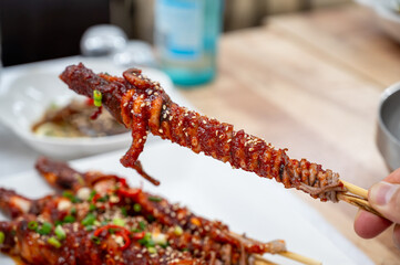 South korea food. Grilled Whole Octopus