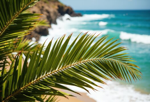 Lush palm frond framing a serene beach with gentle waves