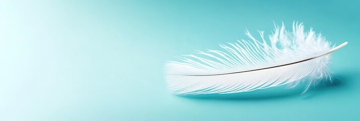A single white feather on a light-blue background.