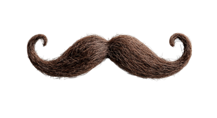 Png of A whimsical, stylized mustache made of brown fibers, adding a playful touch to any design or decor.