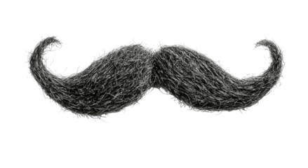 Png of A whimsical, oversized mustache made of grass, creating a playful and humorous mood in this creative illustration.