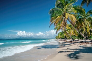 Tropical beach scene with palm trees (3)