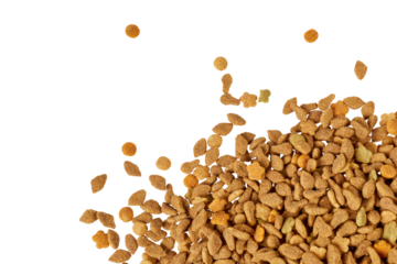cat pet food pile corner frame border isolated on white or transparent png