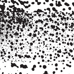 Black and white speckled with varying densities.