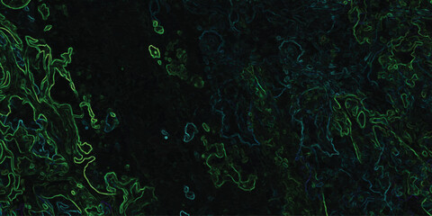Abstract artistic illustration featuring luminous green and teal contours on a dark background evoking a sense of mystery and organic forms