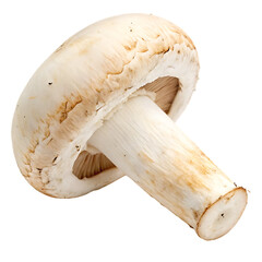 Button mushroom isolated on a transparent background