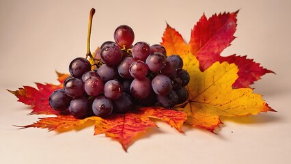 Obraz premium Ripe grapes on autumn leaves