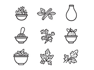 Simple coriander food line art drawing for culinary illustrations