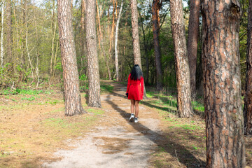 Obraz premium Brunette woman in red dress walking through pine forest