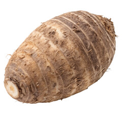 Taro root isolated on a transparent background