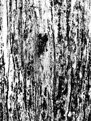 Heavy Grunge Texture Black And White Old Tree Bark
