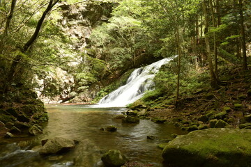 Obraz premium 済浄坊の滝 