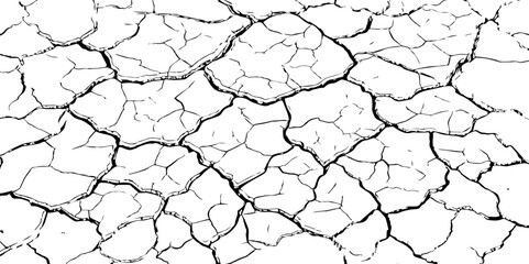 The white background features irregular patterns resembling parched earth.Gray textured background with blank space.Cracked white background with a dry, textured style.
 