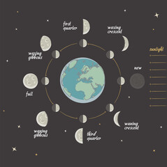 Vector illustration of the Moon phases in a retro educational style. Perfect for astronomy lessons, science books, classroom posters, or vintage-inspired educational materials.
