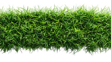 Green grass lawn texture from above on isolated background, natural outdoor surface for landscaping, environment and sports graphics, crystal clear detail.
