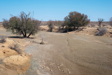 dry riverbed in Namibia
