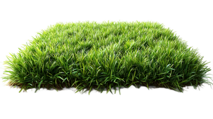 Green grass lawn texture from above with cutout background, versatile nature element for graphic design and ecology presentations, sharp focus detail., cut out
